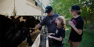 A man and two children interacting with cows at an outdoor farm exhibit, under a tent on a sunny day.